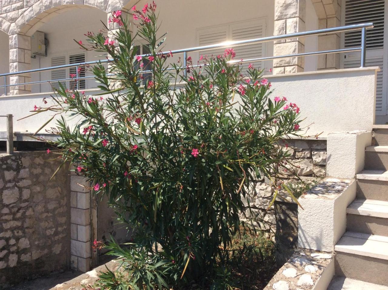 Lux Apartments Korčula Екстериор снимка